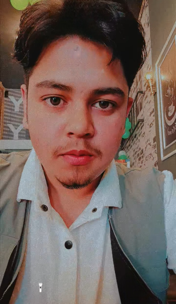 prince web designer and developer